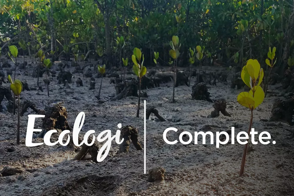 Complete. joins Ecologi